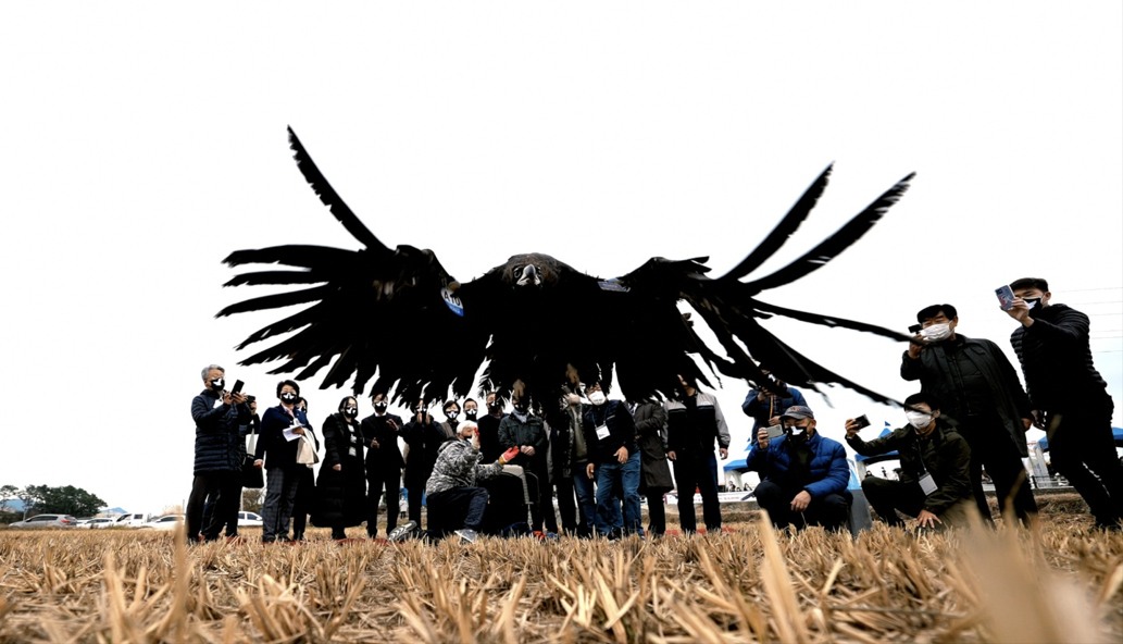 2022 한국 몽골 고성 독수리 국제 심포지움 (고성) 그림14.png